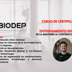 ENTRENAMIENTO DEL CORE: DE LA ANATOMÍA AL CONTINUO DE LA FUERZA